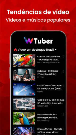Reprodutor de Vídeo - wTuber screenshot