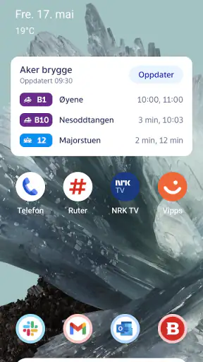 Ruter screenshot