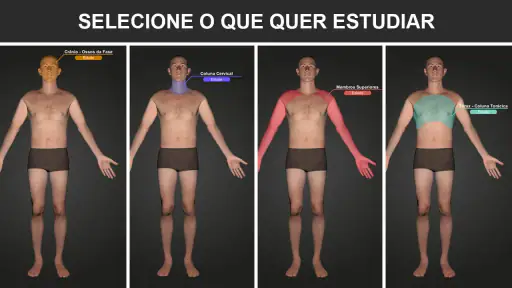 RX - Radiologia Posicionamento screenshot