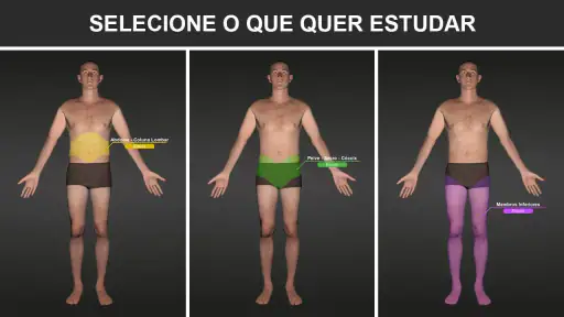 RX - Radiologia Posicionamento screenshot