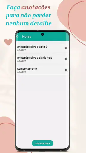 Saltos de Desenvolvimento screenshot