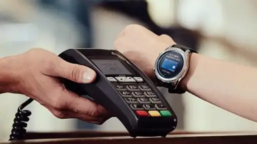 Samsung Wallet/Pay (Watch) screenshot