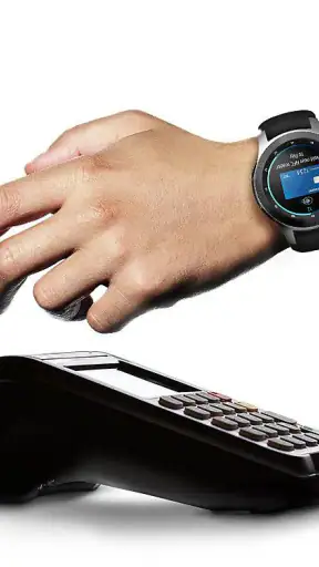 Samsung Wallet/Pay (Watch) screenshot