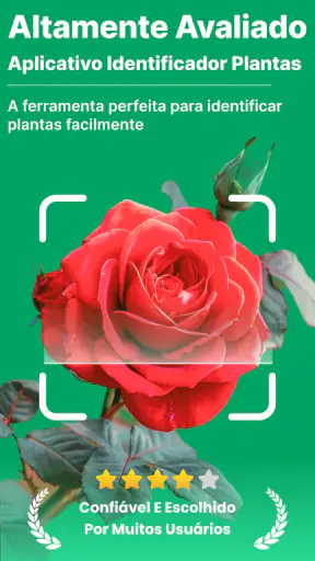 Scanner Identificador Planta screenshot