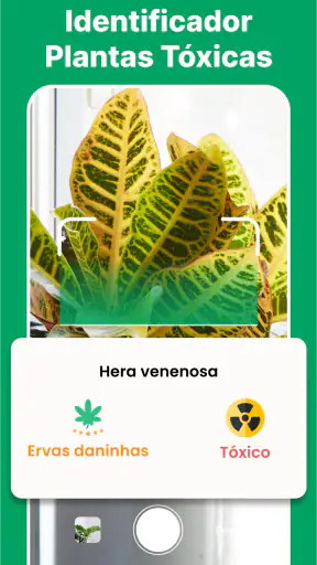 Scanner Identificador Planta screenshot