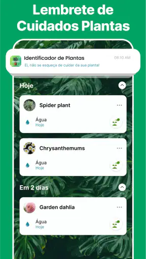 Scanner Identificador Planta screenshot