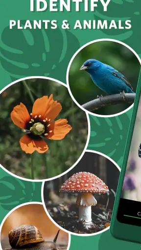 Seek, do iNaturalist screenshot
