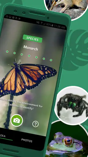 Seek, do iNaturalist screenshot