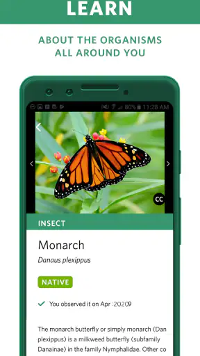 Seek, do iNaturalist screenshot