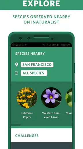 Seek, do iNaturalist screenshot