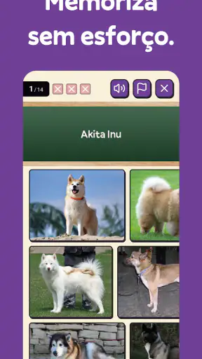 Squiz - Memória e quiz cultura screenshot