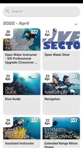 SSI screenshot