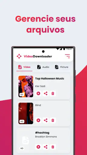 SSSTIK Video Downloader Lite screenshot