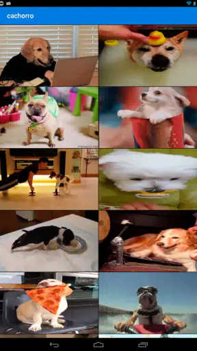 Tenor GIF Keyboard screenshot