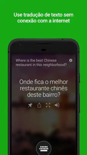 Tradutor da Microsoft screenshot