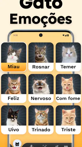 Tradutor de Gatos - Jogo Gato screenshot