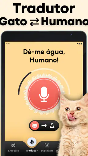Tradutor de Gatos - Jogo Gato screenshot