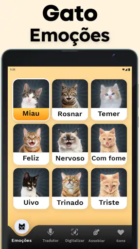 Tradutor de Gatos - Jogo Gato screenshot