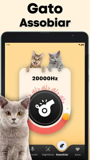 Tradutor de Gatos - Jogo Gato screenshot