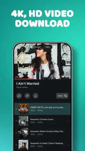 Video Downloader screenshot