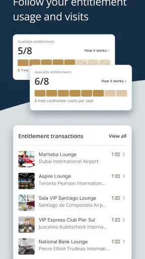 Visa Airport Companion screenshot
