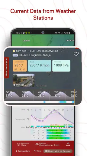 Windy.com - Previsão do tempo screenshot