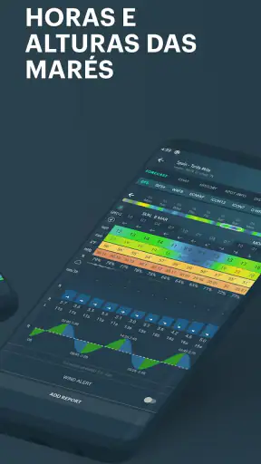 Windy: previsão de surf e vela screenshot