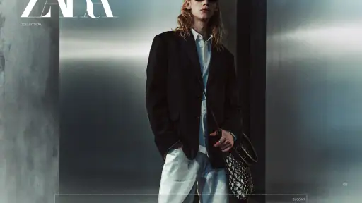 Zara screenshot