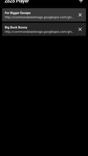 ZoZo Player - URL Video Player screenshot